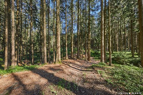 Gemeinde Pfarrkirchen Landkreis Rottal-Inn Krebsenbach (Dirschl Johann) Deutschland PAN